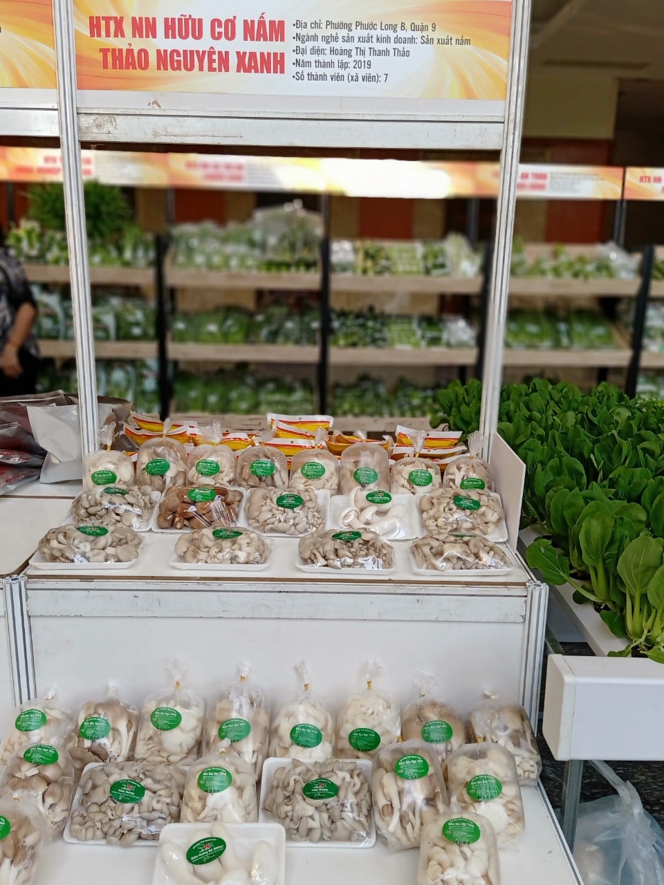 Nấm các loại
